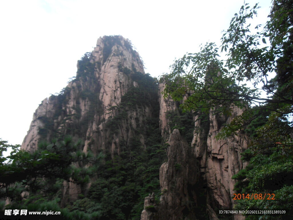 巍峨山峰与葱郁林木