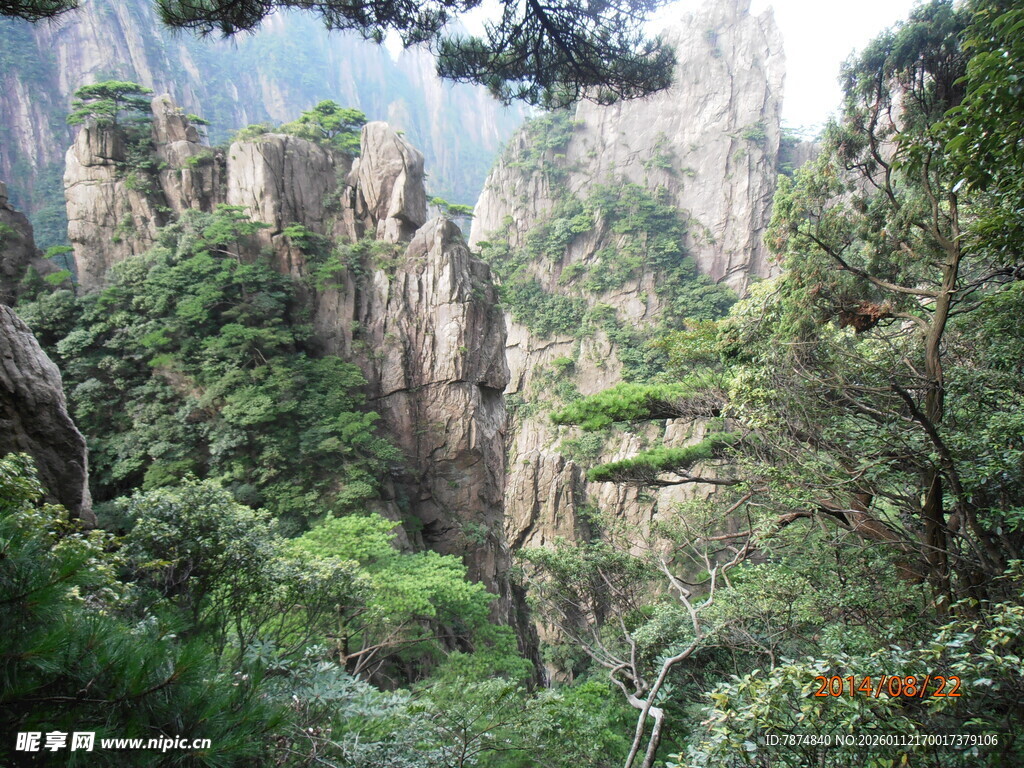 黄山奇峰绿意盎然景观