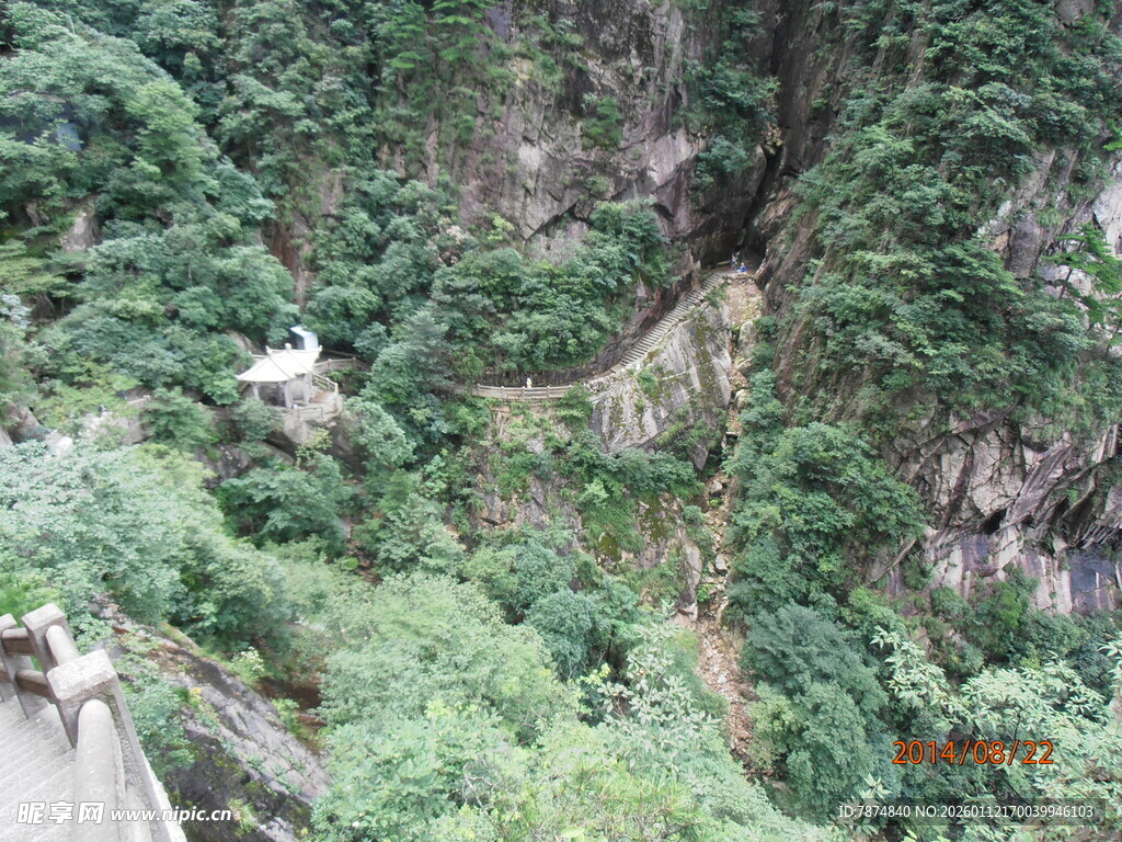 山间繁茂植被覆盖的峭壁