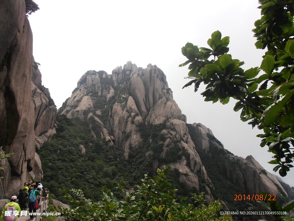 巍峨山峰与繁茂植被景观