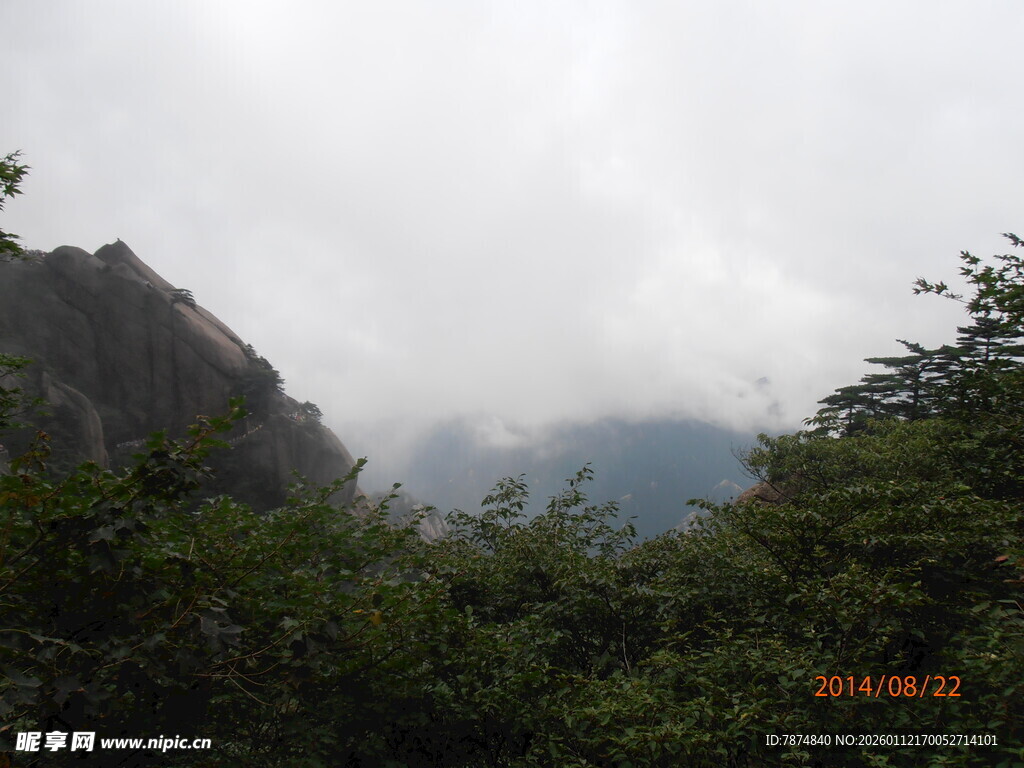 云雾缭绕的山林景致