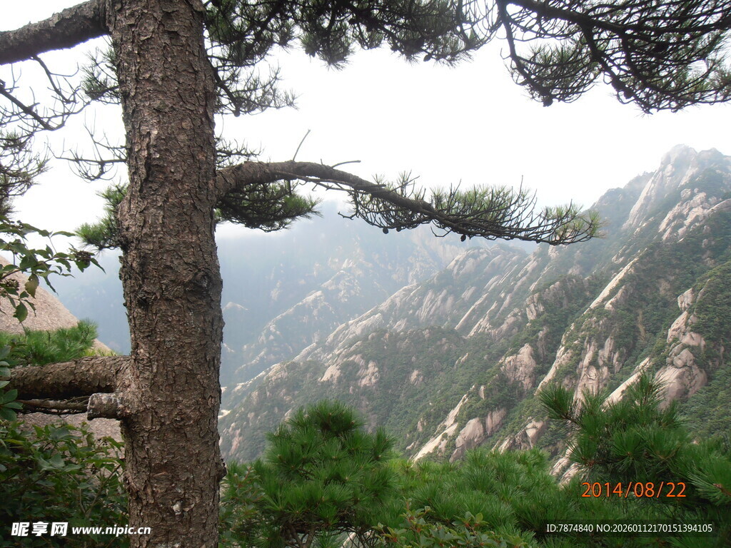 黄山松景 山峦云雾缭绕