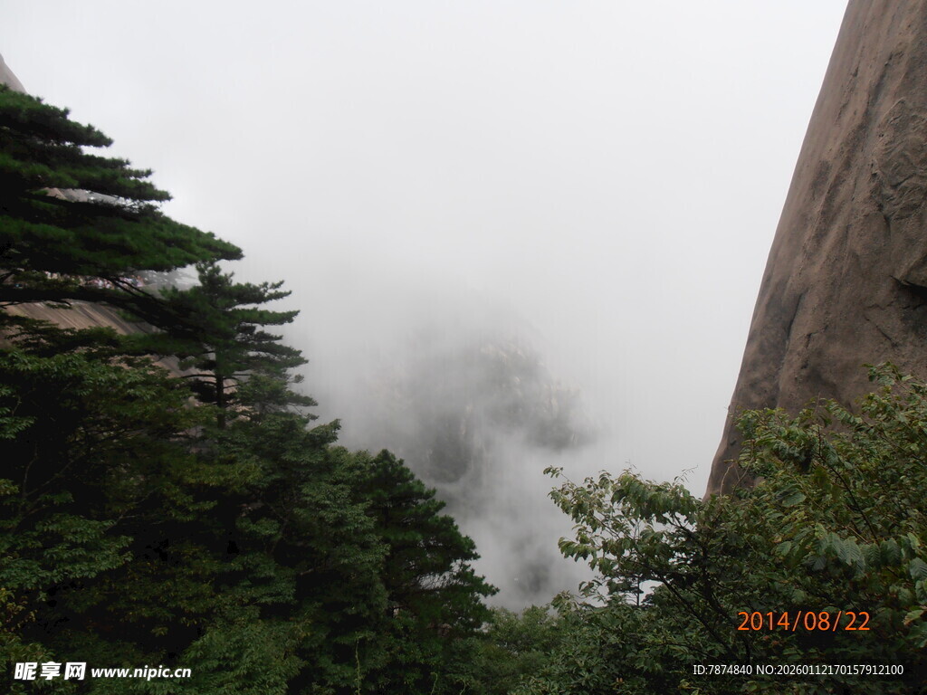 云雾缭绕的山林景致