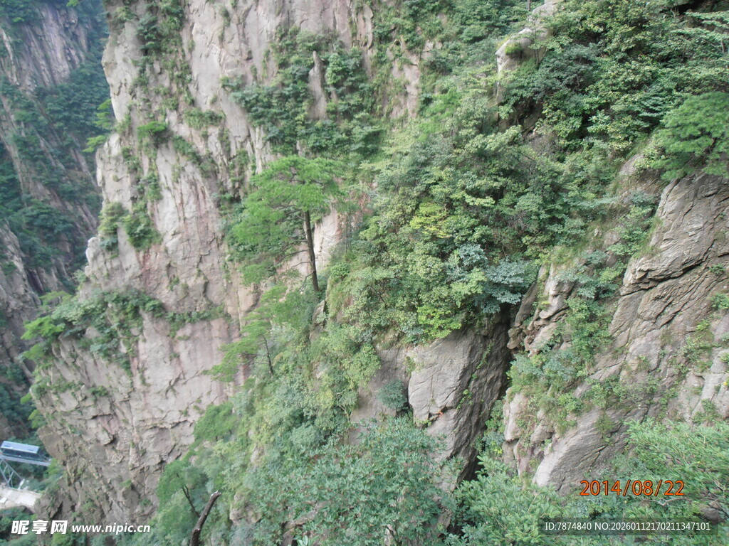 陡峭山崖绿意点缀