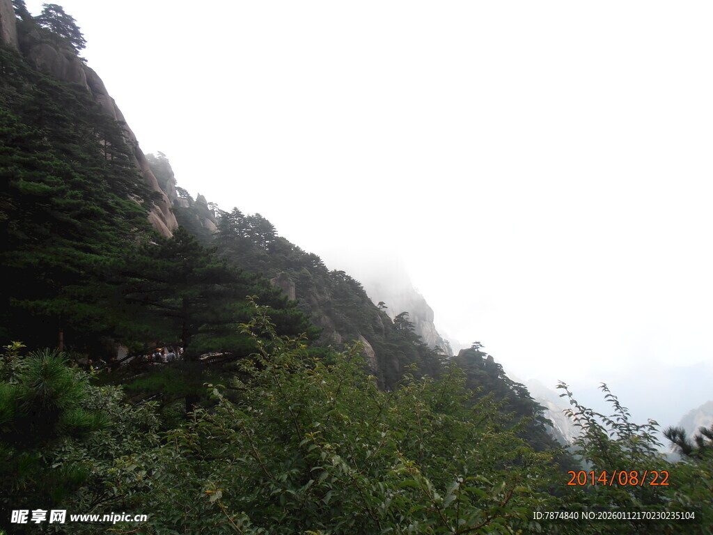 云雾缭绕的葱郁山峰