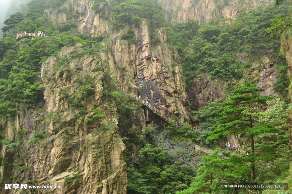 峻峭山峦绿意浓