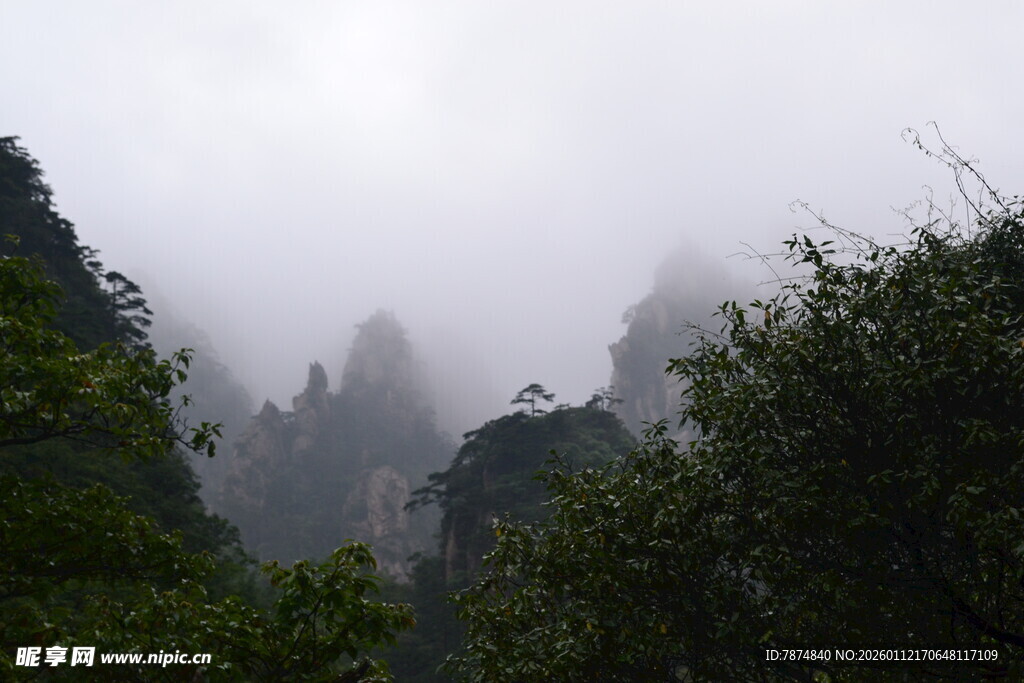 云雾缭绕的壮美山峦