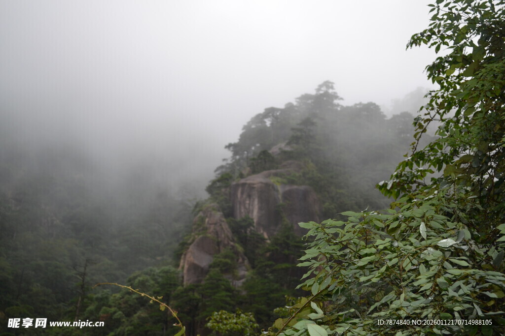 云雾缭绕的山林美景