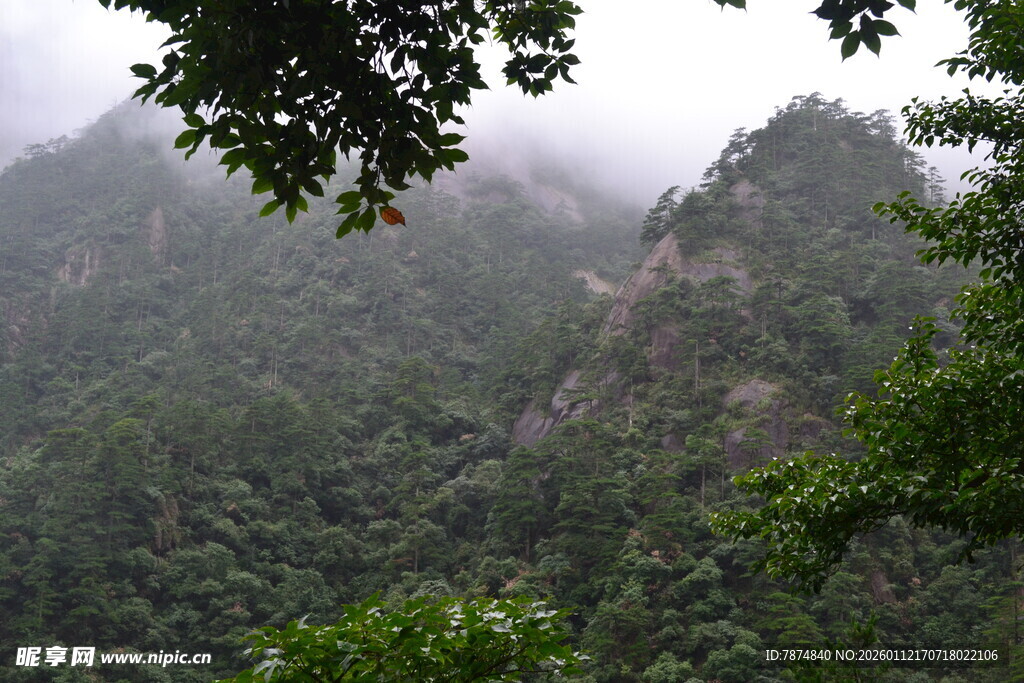 云雾缭绕的翠绿山峦