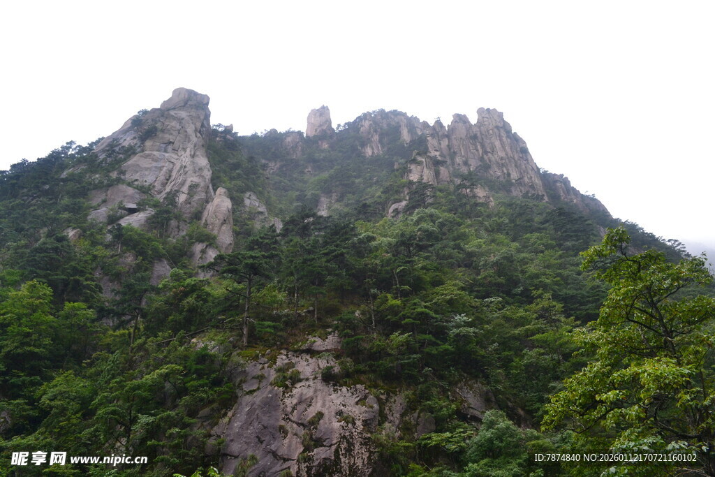 巍峨青山绿意浓