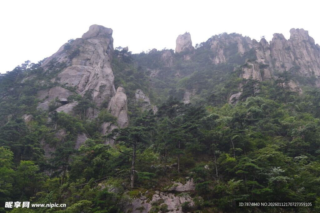 巍峨青山绿意浓