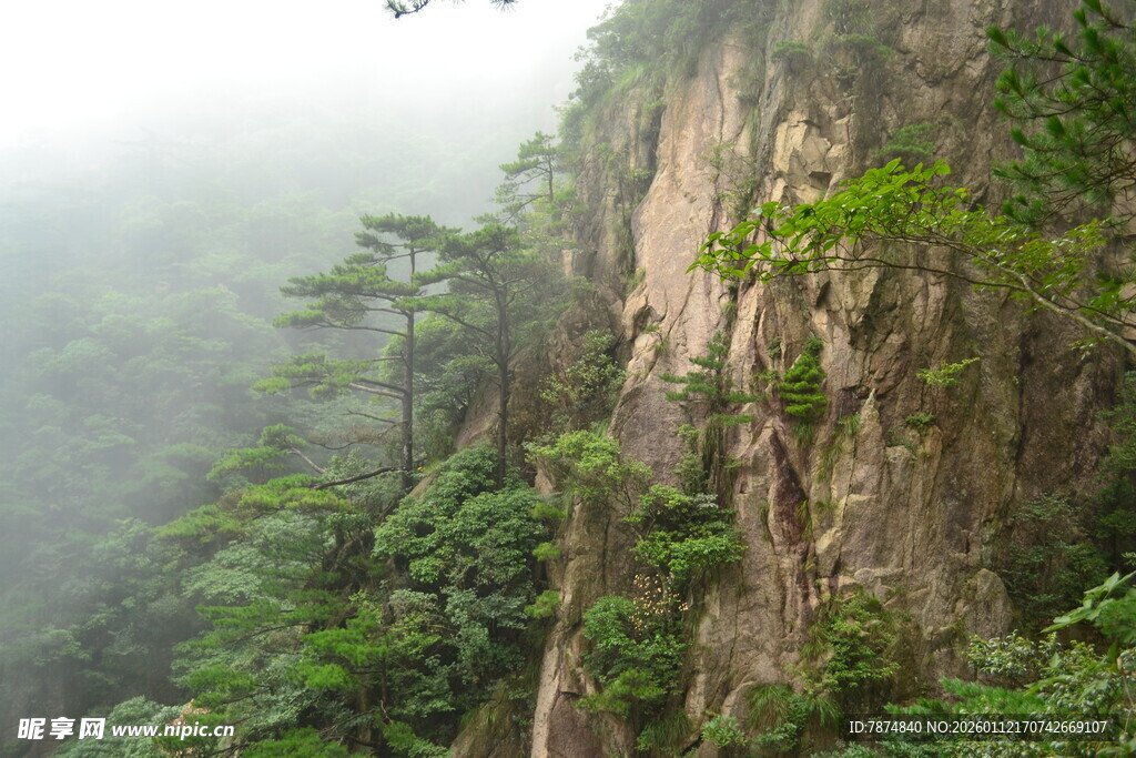 云雾缭绕的山林峭壁
