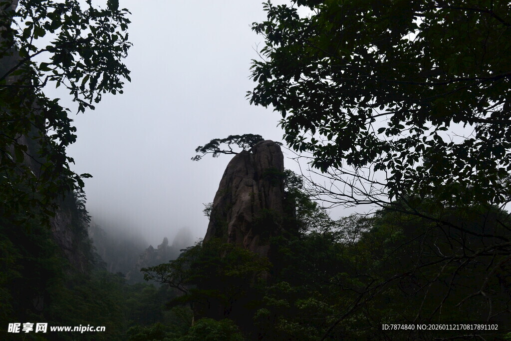 云雾缭绕中的山林奇峰