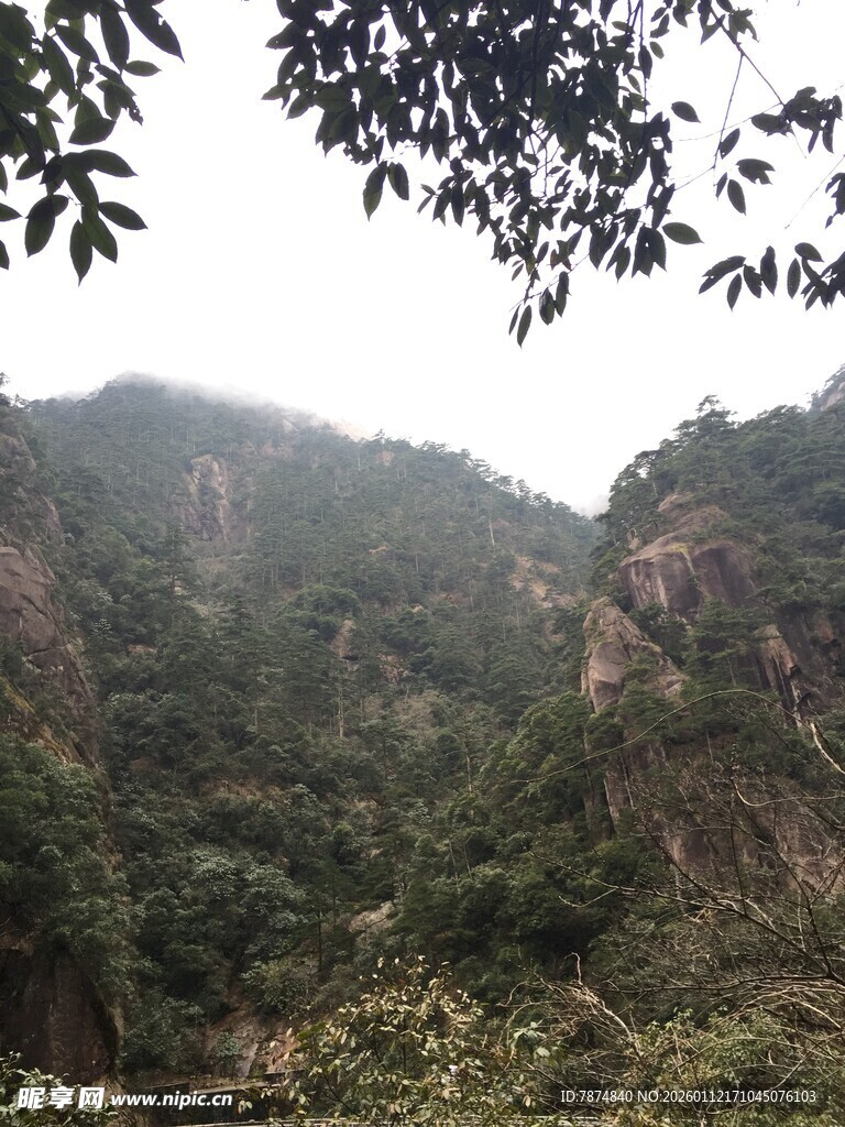 山林葱郁的自然景致