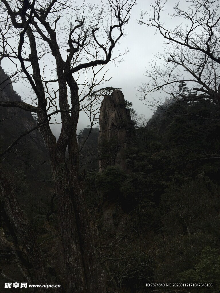 山间枯树与朦胧远景