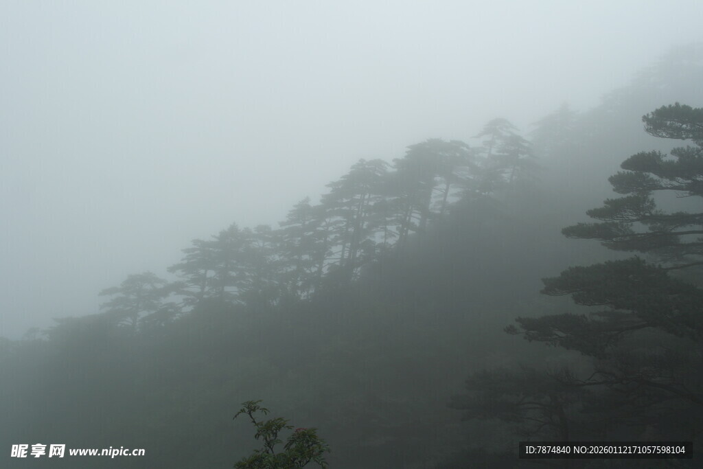 雾中山林景色