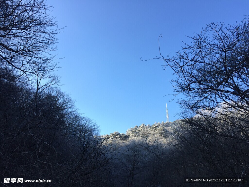 山间蓝天与光秃树木景观