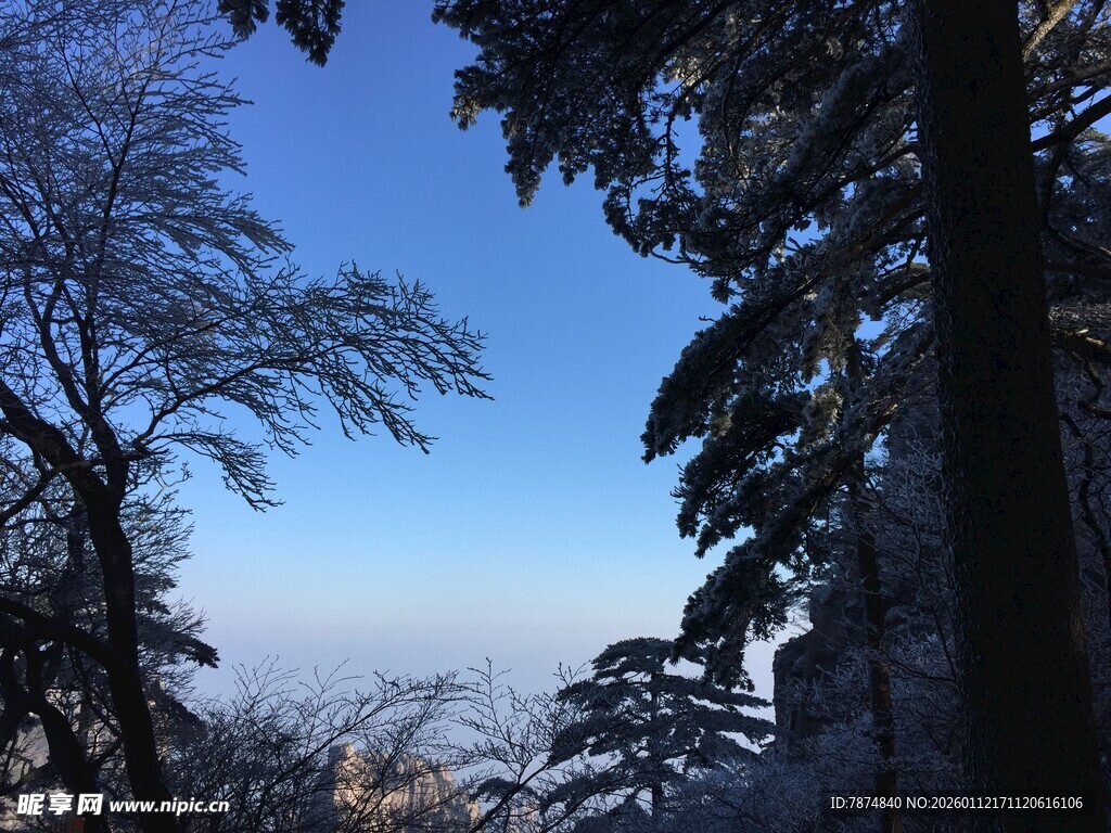 雪覆山林蓝天景