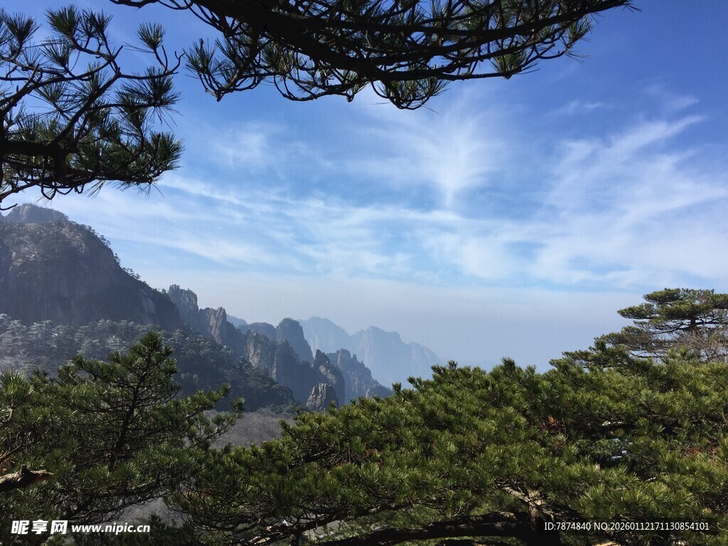 黄山美景 松与山峦云雾间