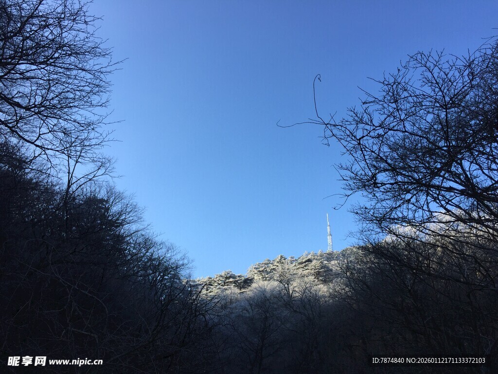 山间蓝天与光秃树木景观