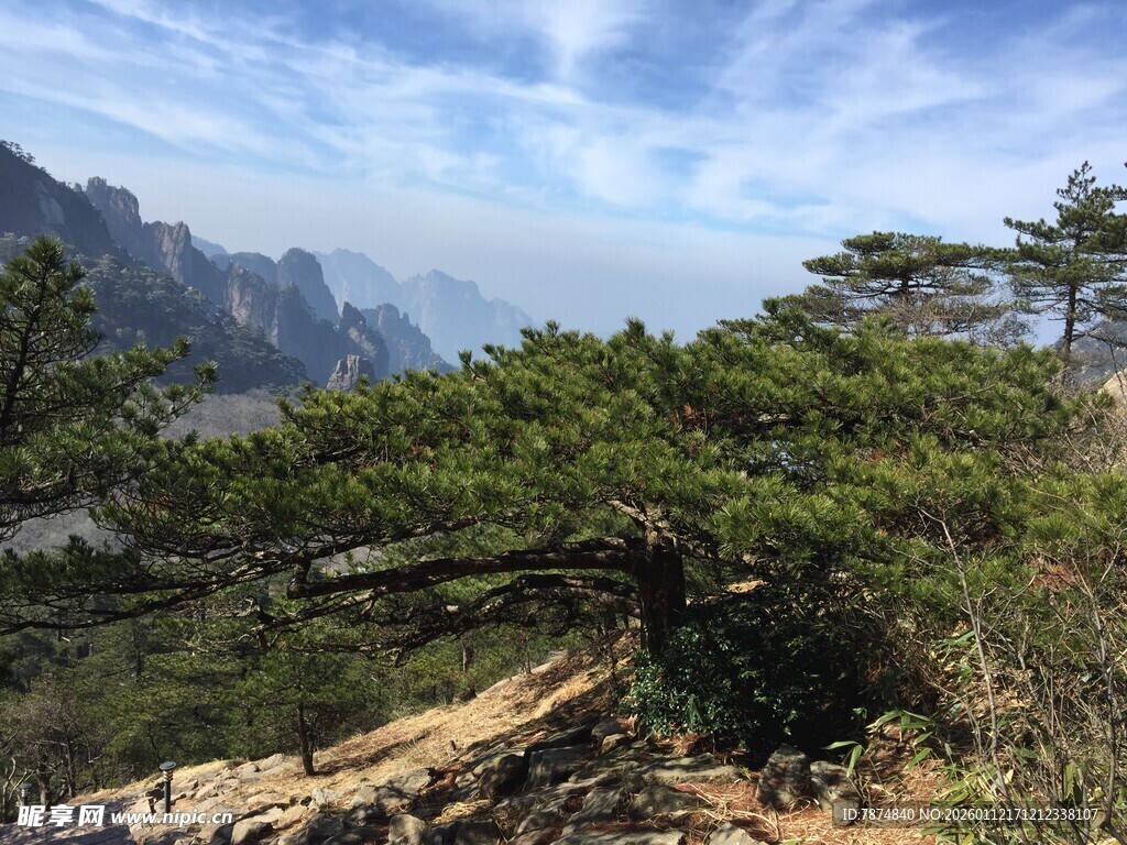 黄山美景 苍松与山峦