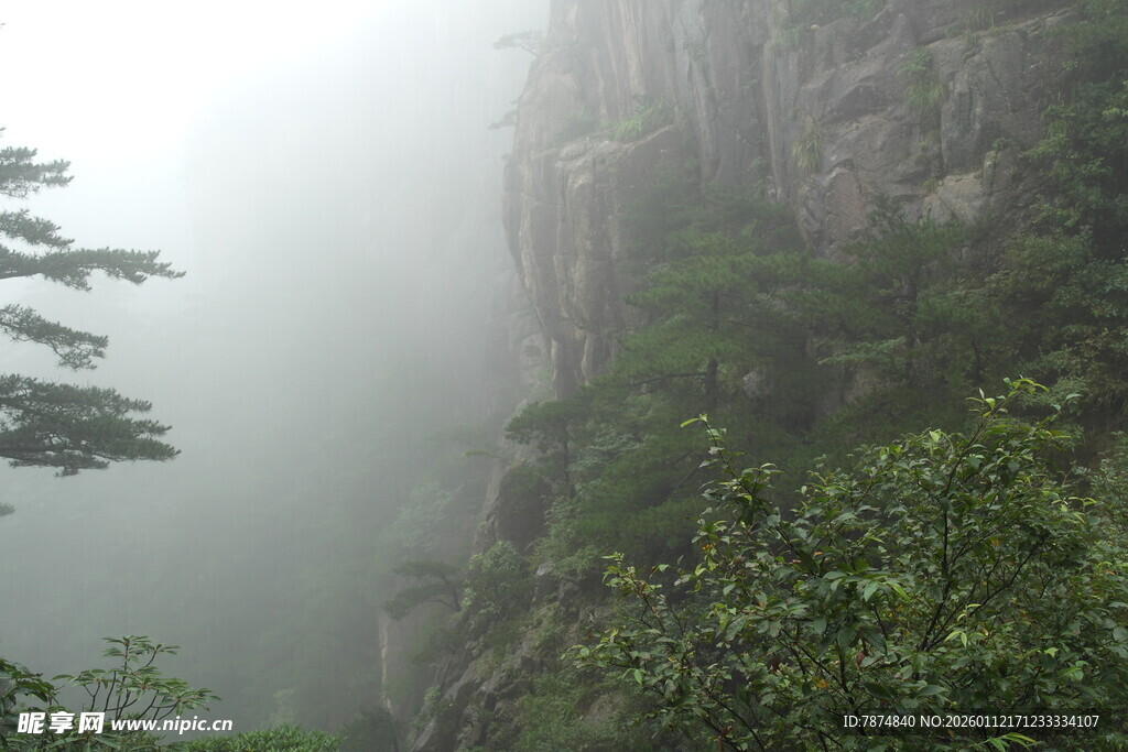 雾中峻峭山峰与葱郁植被