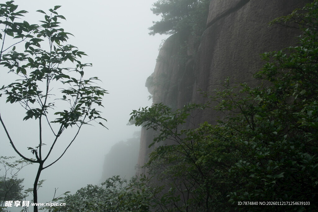 雾中峻岭旁的孤树