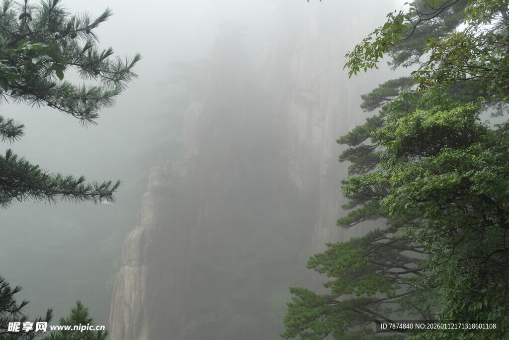 雾中峻岭与葱郁林木
