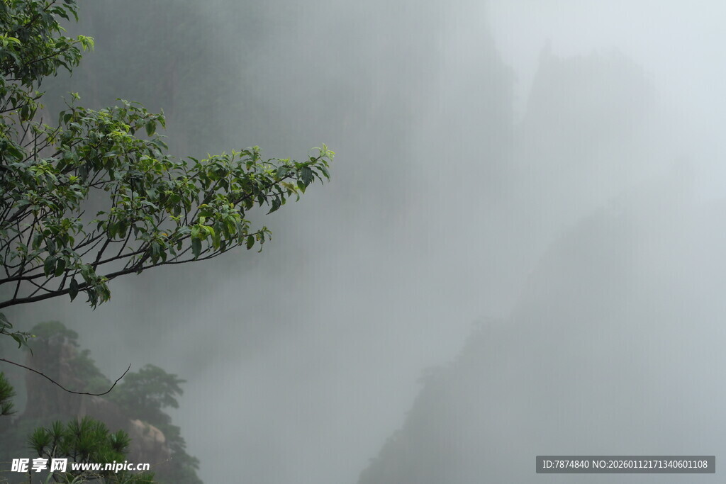 云雾缭绕的山间绿意