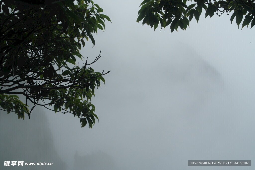 雾中树影 朦胧山间景致