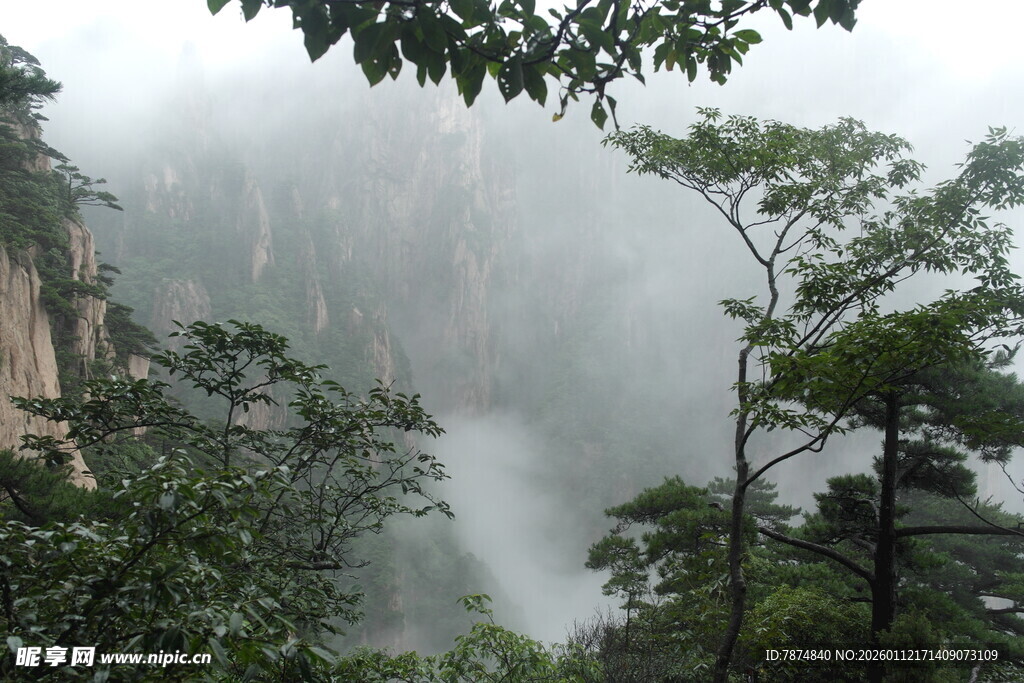 云雾缭绕的山林景观