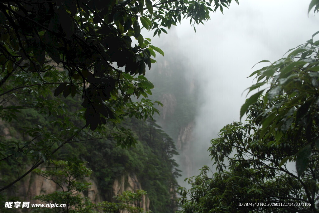 山间云雾缭绕的绿意景致
