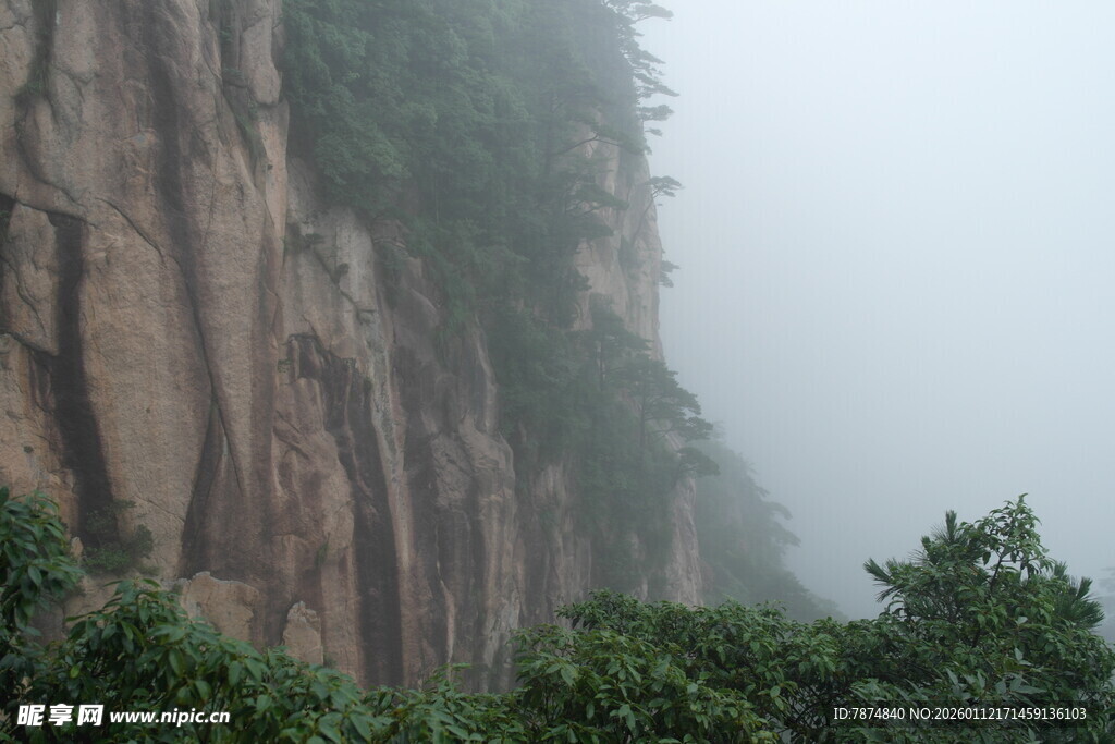 雾中峻峭山壁与绿植