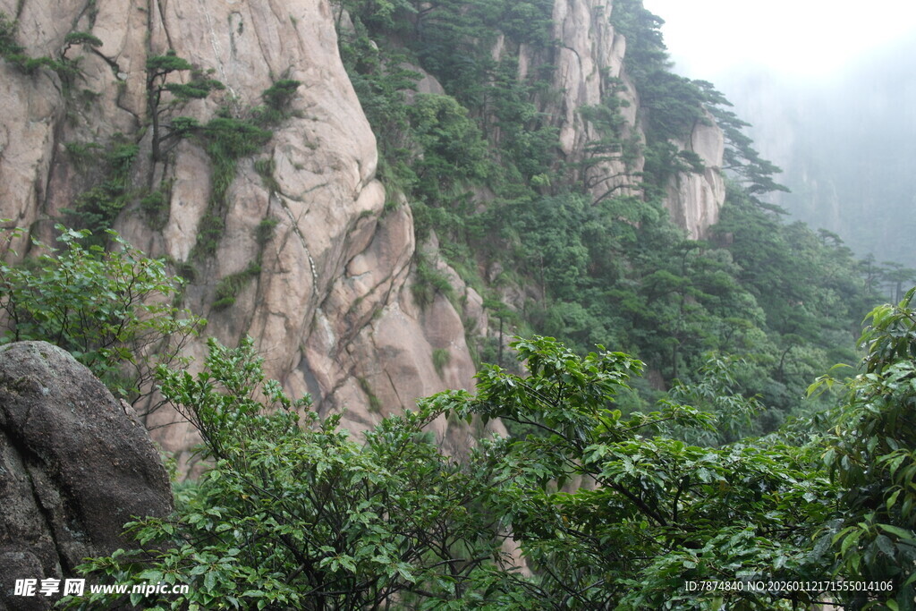 峻峭山峰伴葱郁植被