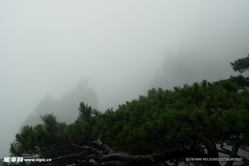 云雾缭绕中的山林景象