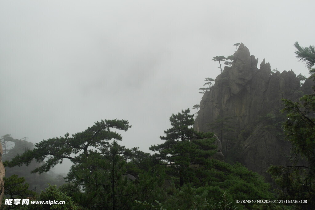 云雾缭绕的山林景象