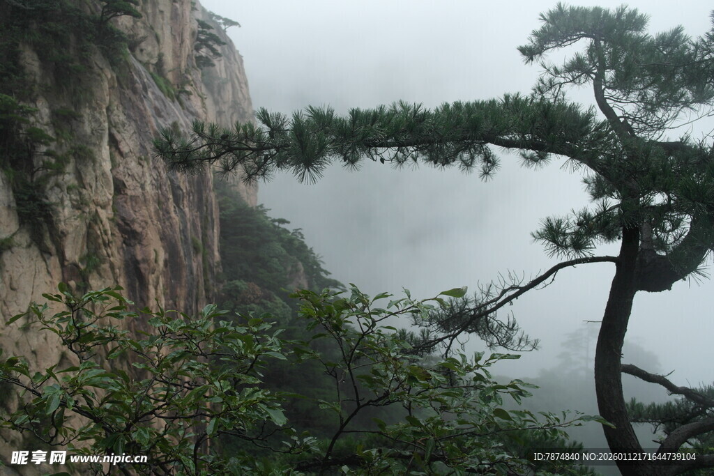 山间孤松 云雾缭绕之景