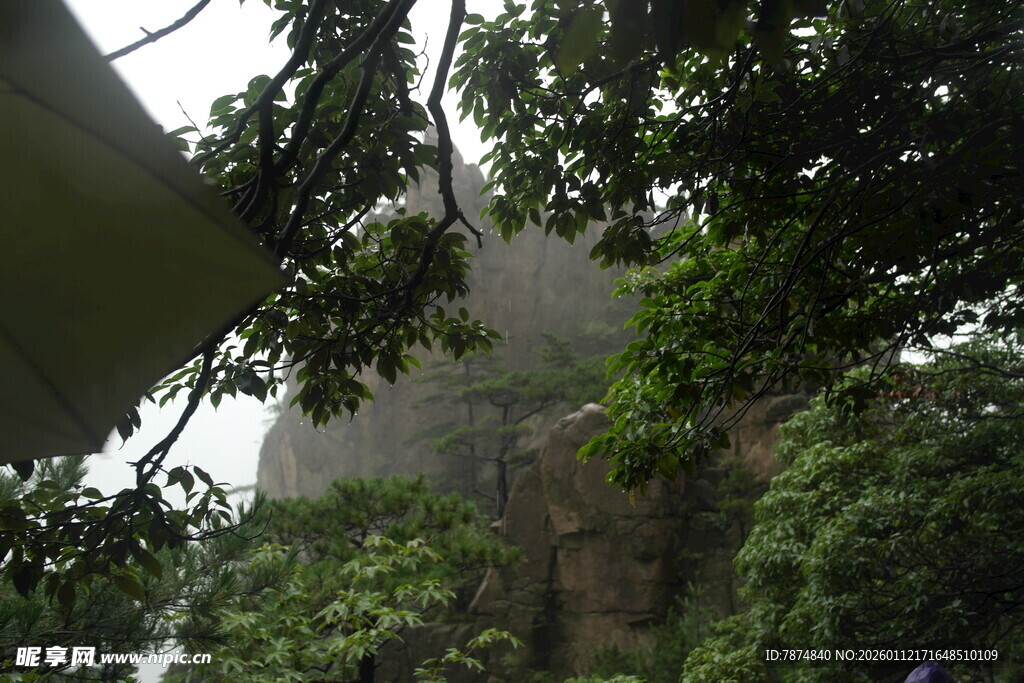 雾中树木环绕的神秘建筑