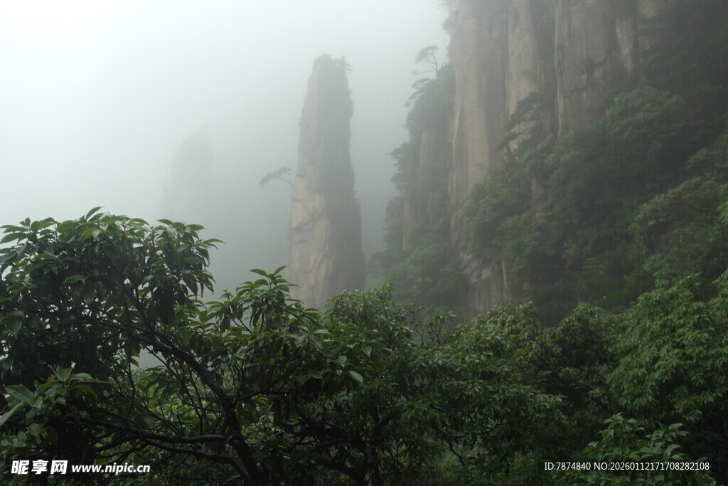 雾中峻峭山峰与葱郁树木