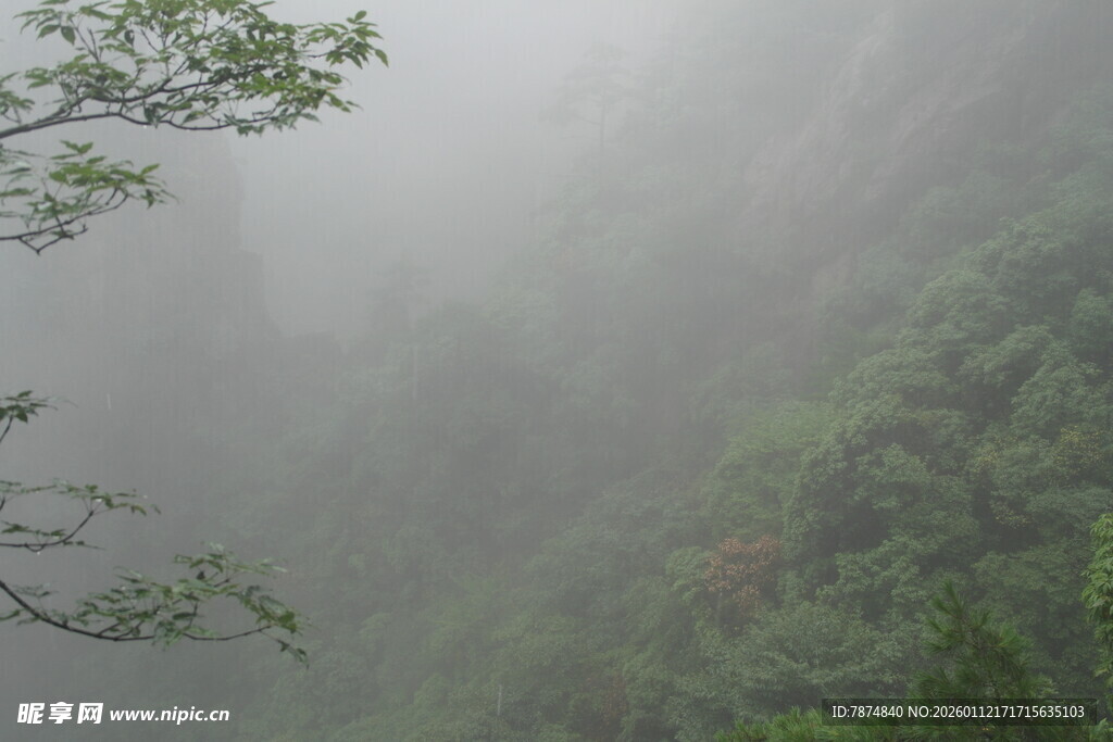 雾中葱郁山林美景