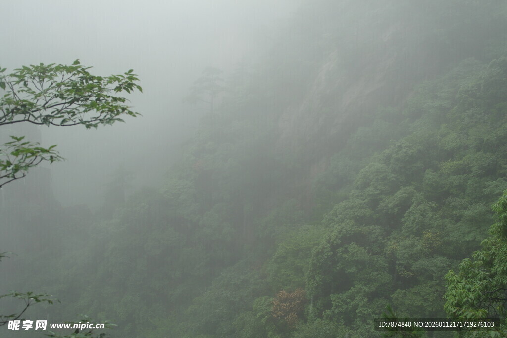 雾中山林景色