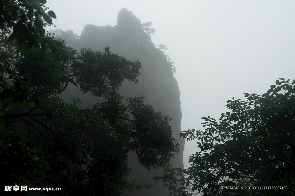 雾中峻峭山峰与葱郁树木