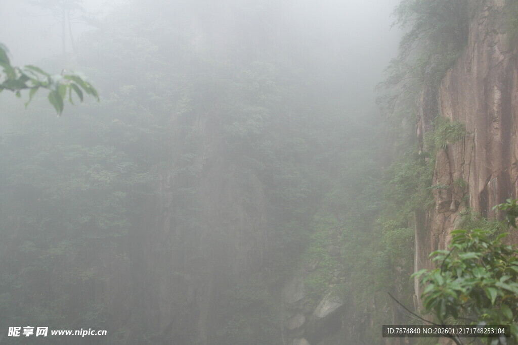 雾中峭壁 绿意盎然