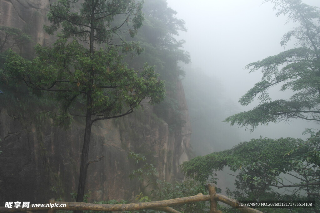 雾中峻岭树木朦胧景致