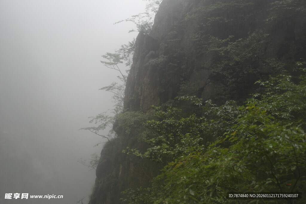 雾中峻峭山壁绿意点缀