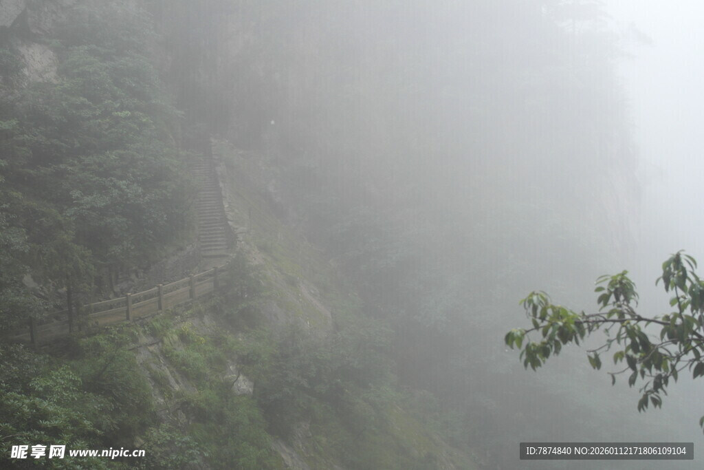 雾中峻岭 绿意隐现