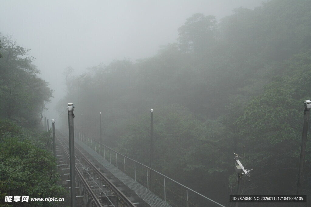 雾中栈道 静谧山林景致