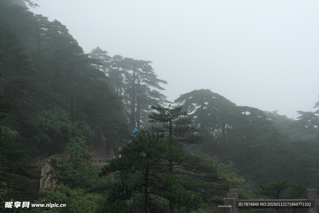 山间云雾缭绕的葱郁景致