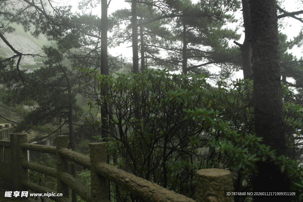 山林间的木质围栏景观