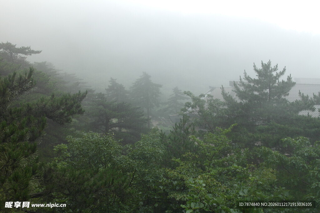 雾中葱郁山林景色